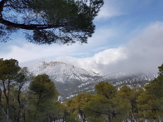 Nevada en Totana - 18 de enero de 2017 - 461